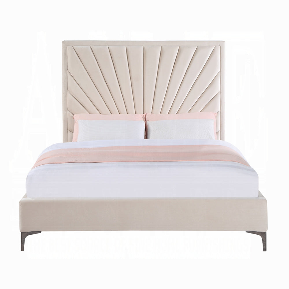 Faiz Queen/ E King Bed