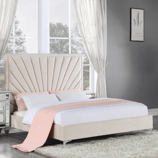 Faiz Queen/ E King Bed
